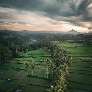 *** Pensjonat Ayu Duwur Beji Indonezja
